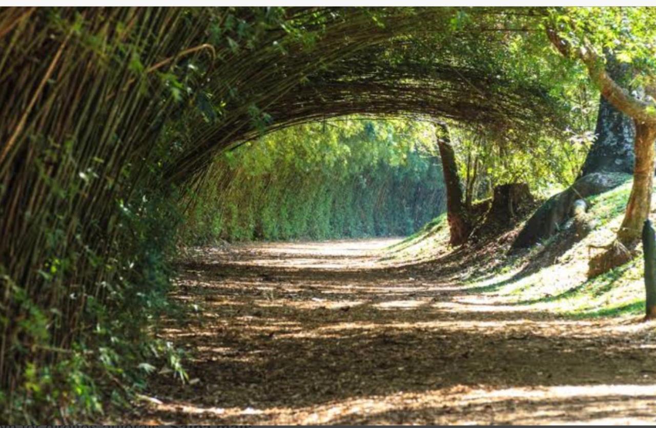 Flat Granja Viana - Espaco E Conforto كوتيا المظهر الخارجي الصورة
